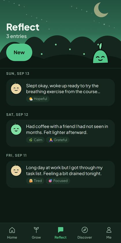 Reflect screen showing journal entries with mood tags